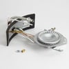 Water Heater Manifold Door And Burner Assembly 100093991