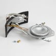 Water Heater Manifold Door And Burner Assembly 100093991
