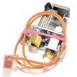 Water Heater Pilot Burner And Igniter 100093792