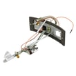 Water Heater Manifold Door Assembly