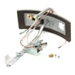Water Heater Manifold Door Assembly (replaces 100093804) 6910805