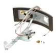Water Heater Manifold Door Assembly