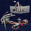 Water Heater Pilot and Igniter Assembly