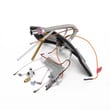 Water Heater Lp Manifold Door Assembly for American Water Heaters FG1F5040T3NOV - Part 6910818