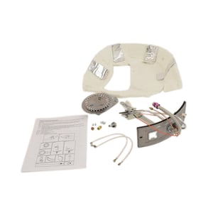 Water Heater LP Manifold Door and Burner Assembly (replaces  