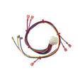 Rheem Wiring Harness 45-24371-13