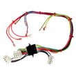 Rheem Wiring Harness 45-24393-01