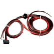 Rheem Wiring Harness 45-42522-14