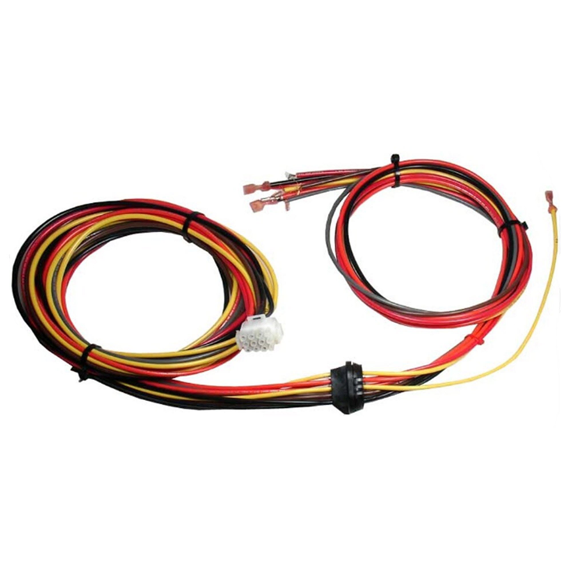 Rheem Part #45-42522-20, Wiring Harness