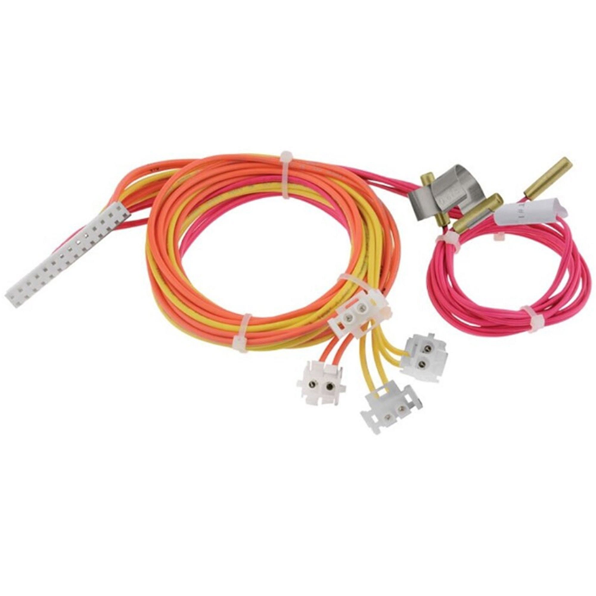 Rheem Part #45-42522-99, Wiring Harness