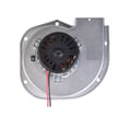 Rheem Induced Draft Blower W/gasket 70-23641-86