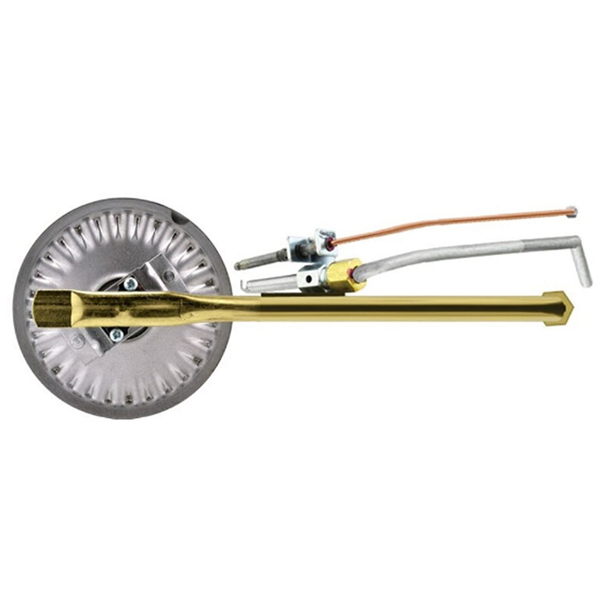 Rheem Low Nox Burner/pilot Assembly AM38763CNN