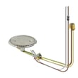 Rheem Burner And Pilot Assembly AS40463A