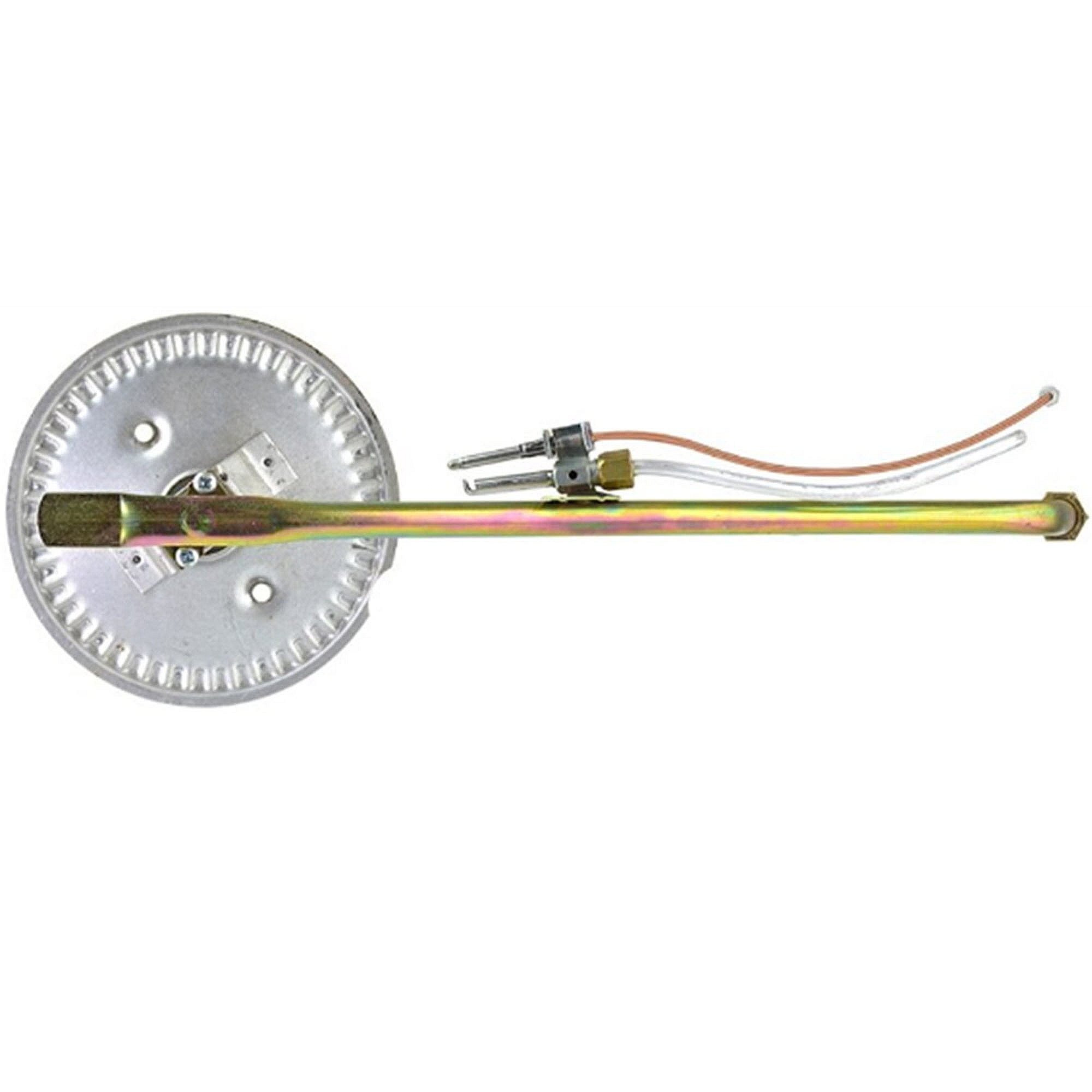 Rheem Burner And Pilot Assembly AS40463A