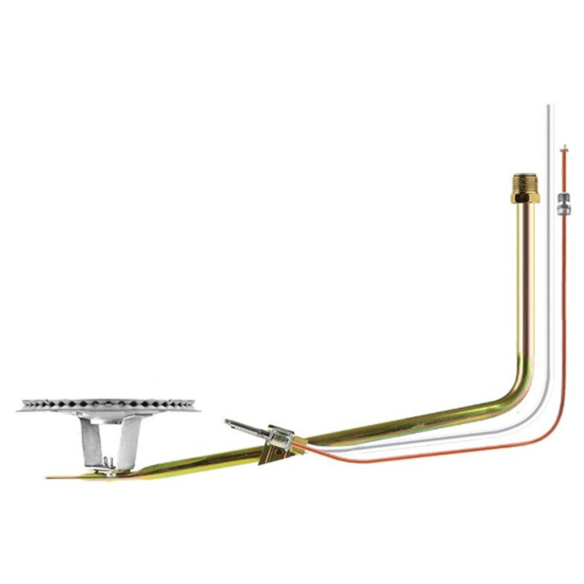 Rheem Burner And Pilot Assembly AS40463A