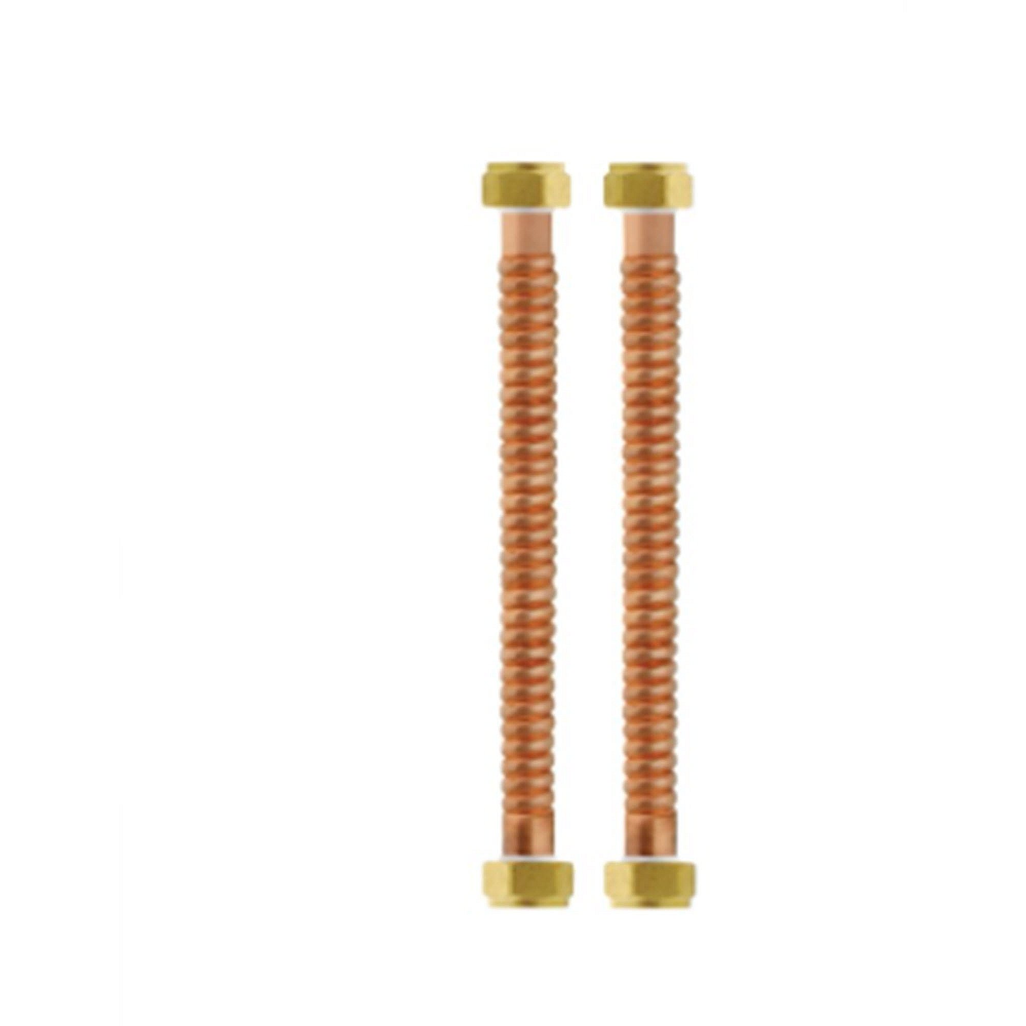 Rheem Flex Connect 3/4f X 3/4f 12  L SP10351