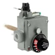 Rheem Gas Control (thermostat) - Ng SP20166E
