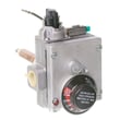 Rheem Gas Control (thermostat) - Ng SP20837H