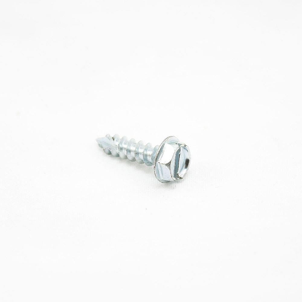 Gibson Part #3002803, Screw | 0.65 x 0.40 x 0.30