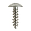 Special Screw