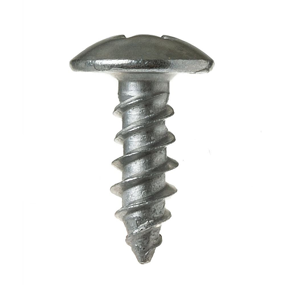 Part #wp01X10021, Special Screw / 2.50 x 2.80 x 0.30