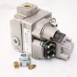 Gas Valve 36C12-310
