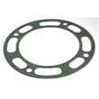 Pump Volute Gasket