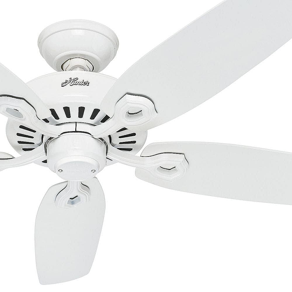 Looking For Hunter Ceiling Fan 52 In Cc5c32c40 Replacement Or