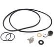 Pump Seal Kit FPP5000
