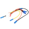 Connect 6631AR3388G