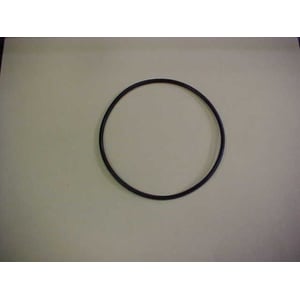 Water Filtration System Filter O-ring 0900375
