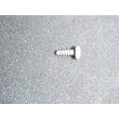 Water Softener Screw, 6 X 20 - 3/8-in 0900857