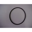 Waterworks O-ring (black) 7115610