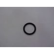 Ecodyne Water Softener O-ring 7170288