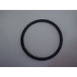 Waterworks O-ring Seal (black) 7177175