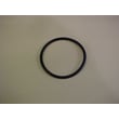 Water Filtration System Filter O-Ring