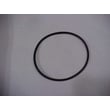 O-ring (black) 9001005