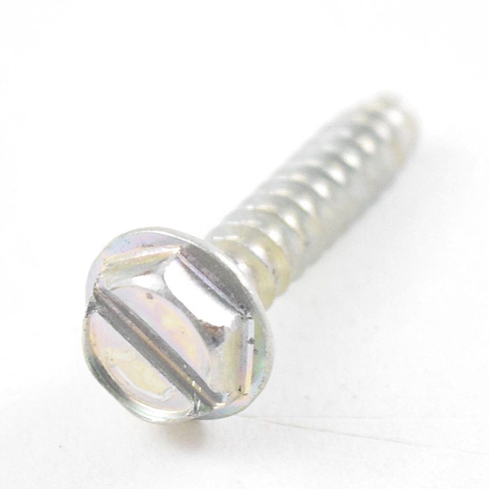 Screw (Silver)