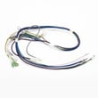 Estate Refrigerator Wire Harness 2311642