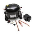 Refrigerator Compressor for Whirlpool EL02PPXMQ00 - Part 8209156