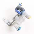 Valve 2313644