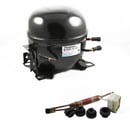 Refrigerator Compressor