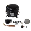 Refrigerator Compressor W10439638