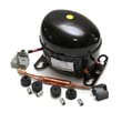 Refrigerator Compressor W10507884