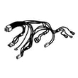 Wire Assy-ev for Whirlpool WRT311FZDB05 - Part W11618502