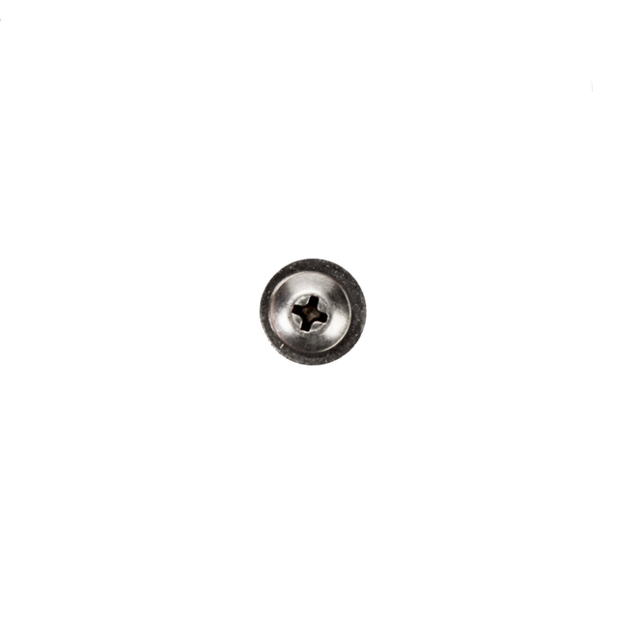 Screw WP488787