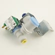 Refrigerator Water Inlet Valve 0060829606
