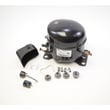 Refrigerator Compressor Kit RF-1750-284