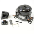 Refrigerator Compressor for Haier HVH019ABB - Part RF-1750-49