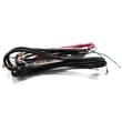 Main Harness 216791700